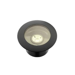 in-lite integrated big nero (update) 1