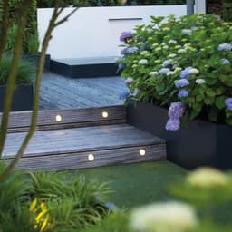 in-lite integrated flux 2