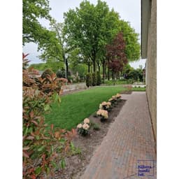 Stonique trommel waalformaat 20x5x7 cm oud sneek 6