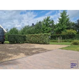 Stonique trommel waalformaat 20x5x7 cm oud bussum 4