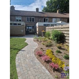 Stonique trommel betonstraatsteen 21x10,5x6 cm musselkalk 5