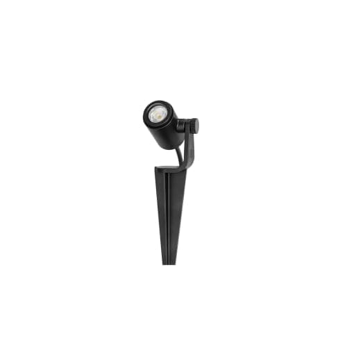 in-lite spot micro scope
